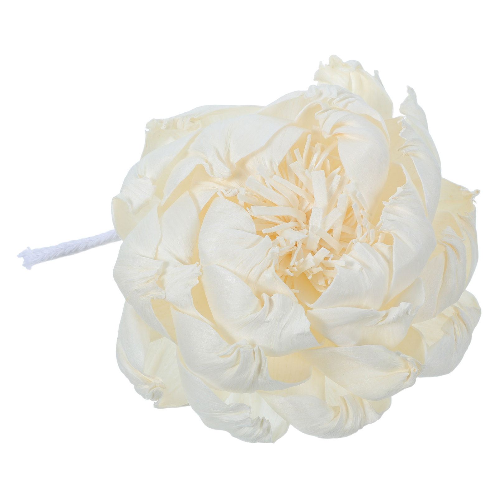 Ароматический диффузор в виде  – обзор и цена Home Fragrance